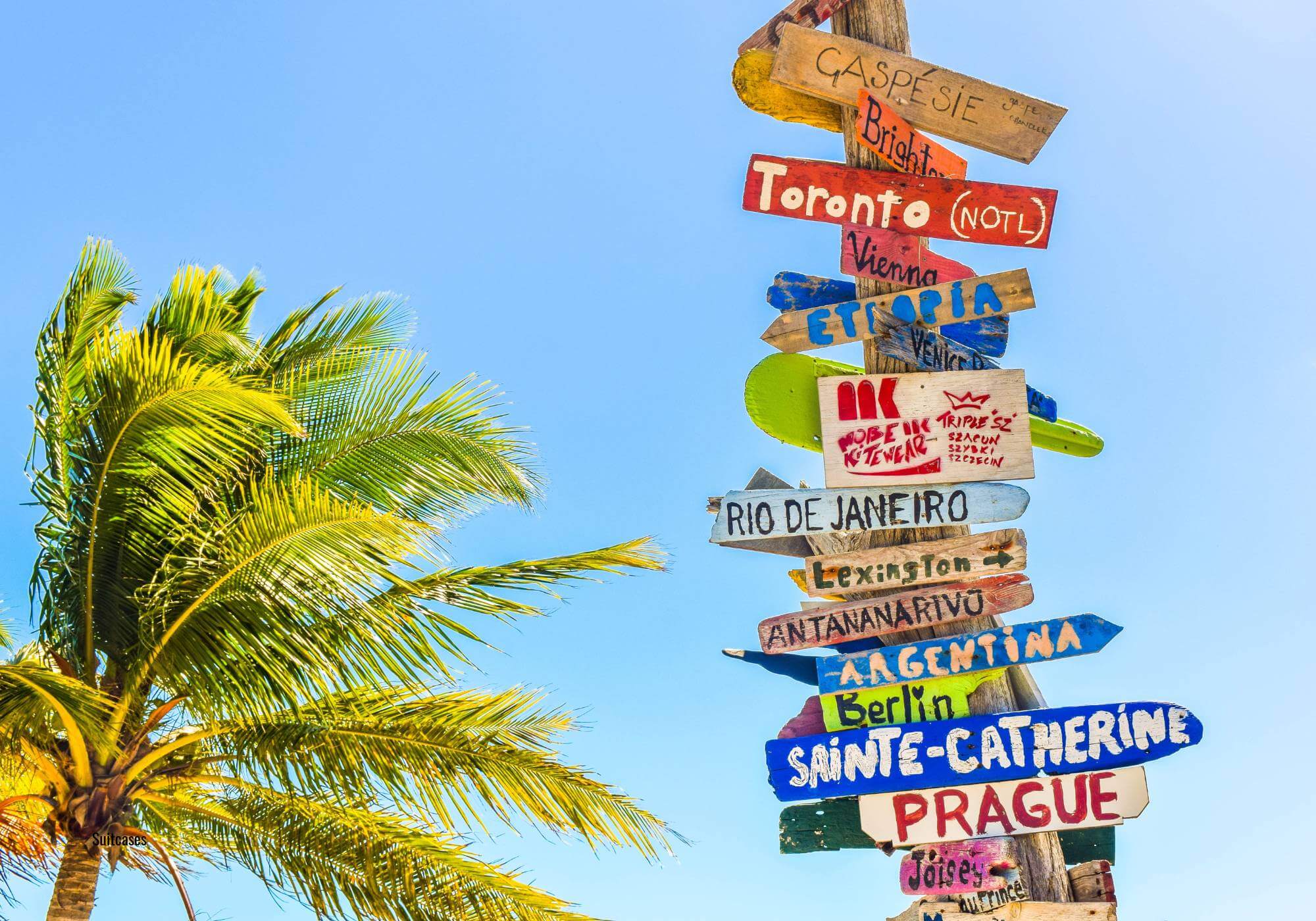 Colourful signpost with holiday destinations against a clear blue sky with a palm tree.